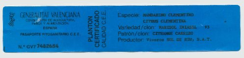 Certification Tag of spanish Citrus trees
